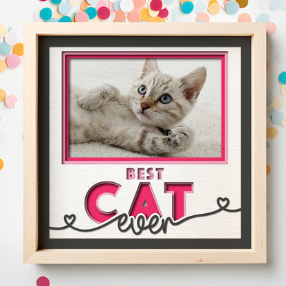 Best Cat(s) Ever Picture Frame Layered Shadow Box Project