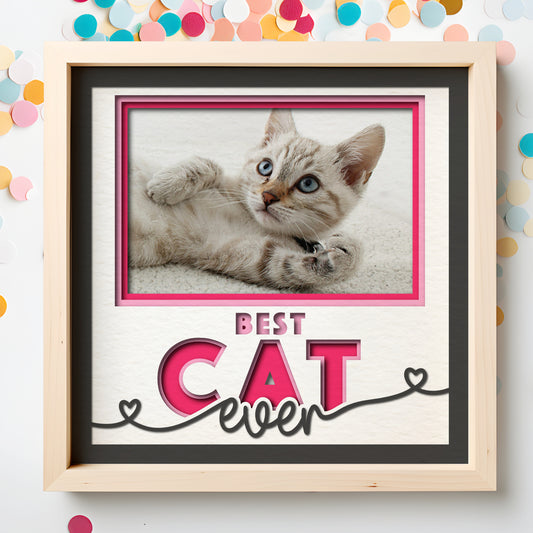 Best Cat(s) Ever Picture Frame Layered Shadow Box Project
